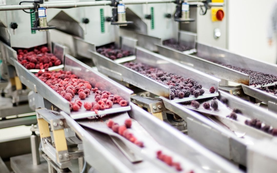 5 Considerations for Proper Lubricant Selection in Food Processing